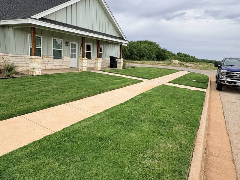 Thick front lawn mowed and edged along the sidewalk and curb